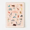 Abécédaire Les animaux du monde - Papier Curieux - Corail