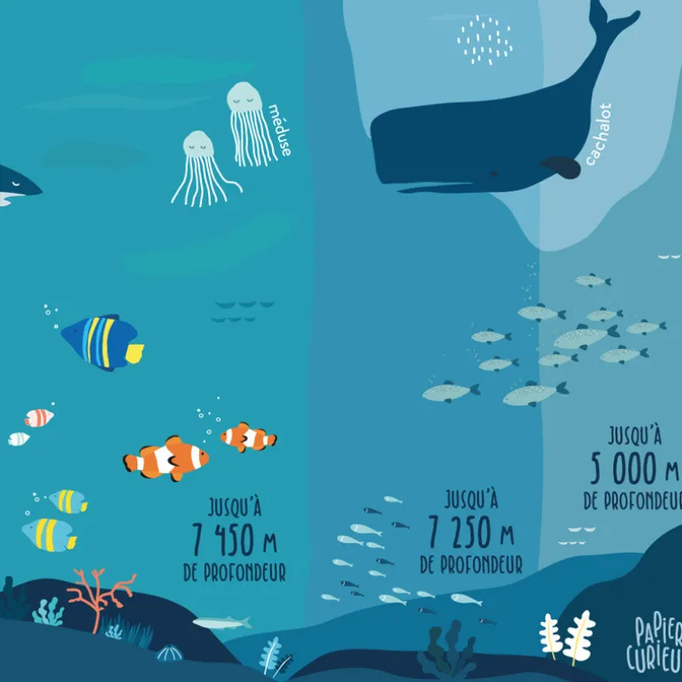 Affiche Le monde marin de Papier Curieux