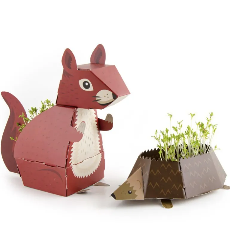 Animaux Pop-Up - Radis et Capucine - Écureuil et Hérisson