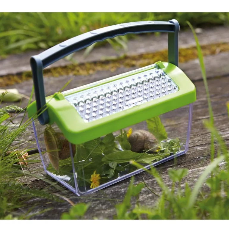 Boite à insectes - Terra Kids de Haba