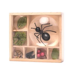 Boite loupe pour collectionner les insectes - Huckleberry