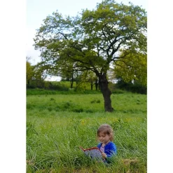 Cahier Jaq Jaq Bird - Forêt - Cahier réutilisable