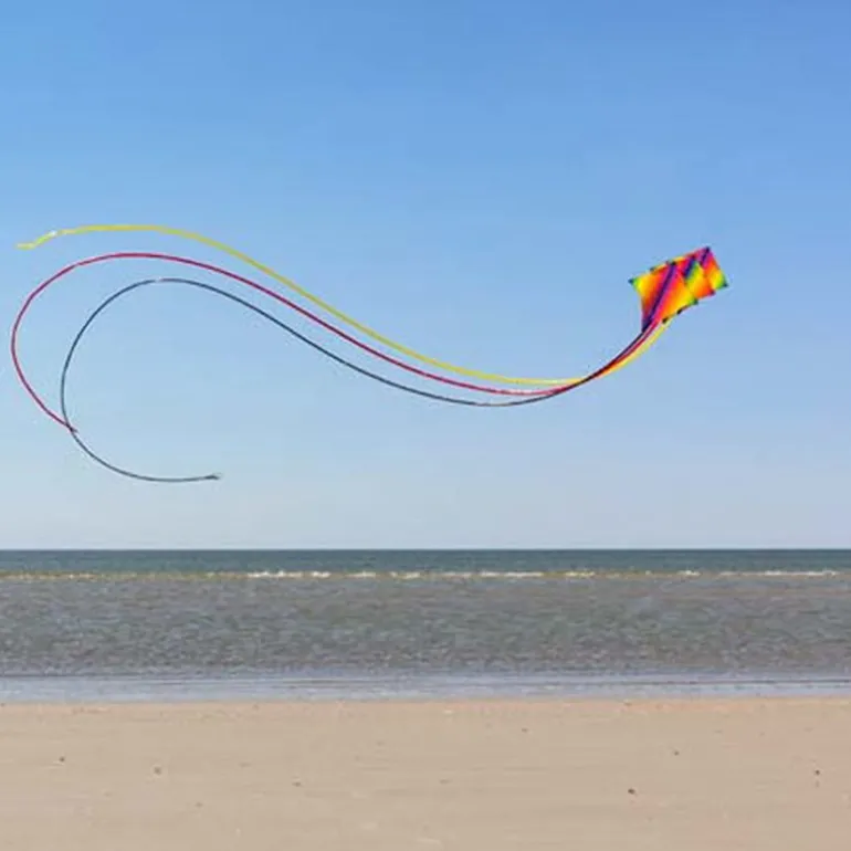 Cerf volant Dancer