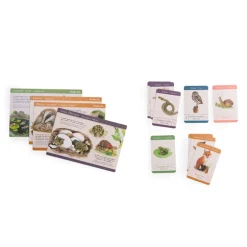 Coffret découverte - Les animaux du jardin - Moulin Roty