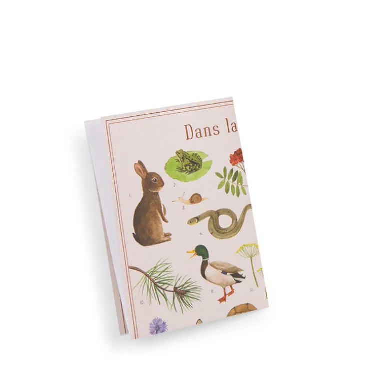 Coffret découverte - Les animaux du jardin - Moulin Roty