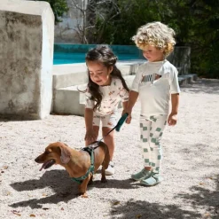 Combinaison bébé anti-UV - Lassig - Beach Chien orange/ocean vert