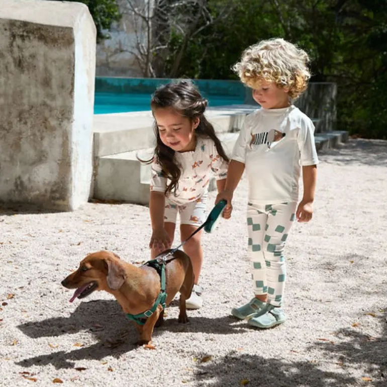 Combinaison bébé anti-UV - Lassig - Beach Chien orange/ocean vert