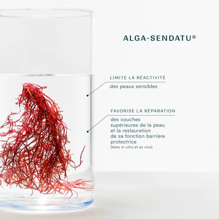 Creme réparatrice bio - Cica Repa - Laboratoire de Biarritz