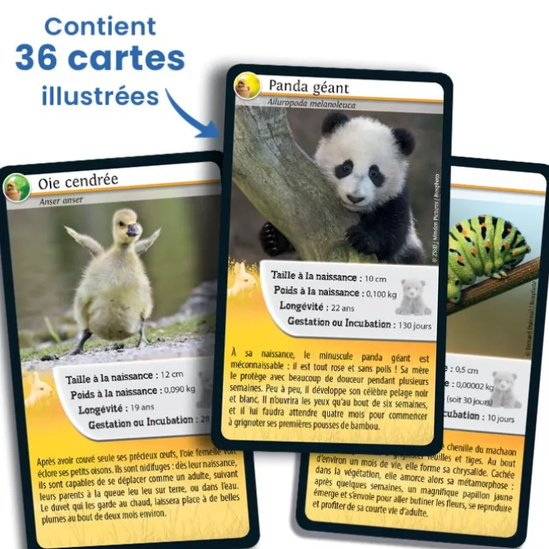 Défis nature - Bébés animaux - Bioviva