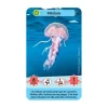 Défis Nature Junior - Merveilles de la Mer - Bioviva