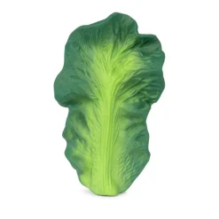 Jouet de dentition bébé - Kendall la feuille de chou - Oli and Carol