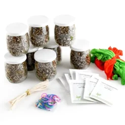 Kit créatif en groupe Mr Patate - Radis et Capucine