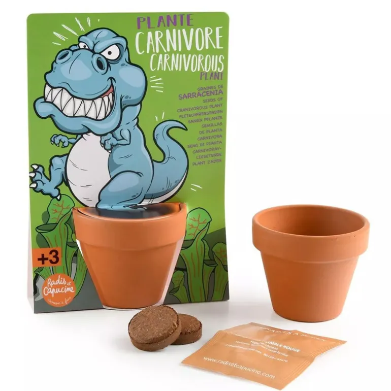 Kit graines à semer : T-rex - Plante carnivore - Radis et Capucine