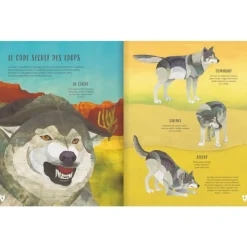 Le Loup - Glénat