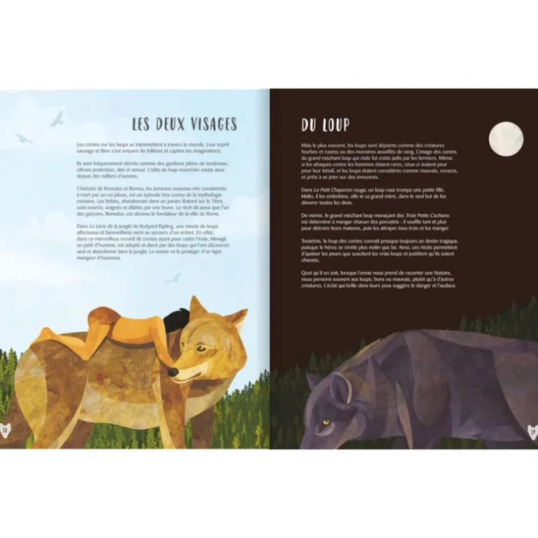 Le Loup - Glénat