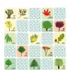 Mémo nature - L'arbre et sa feuille - Pirouette Cacahouète