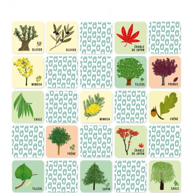 Mémo nature - L'arbre et sa feuille - Pirouette Cacahouète