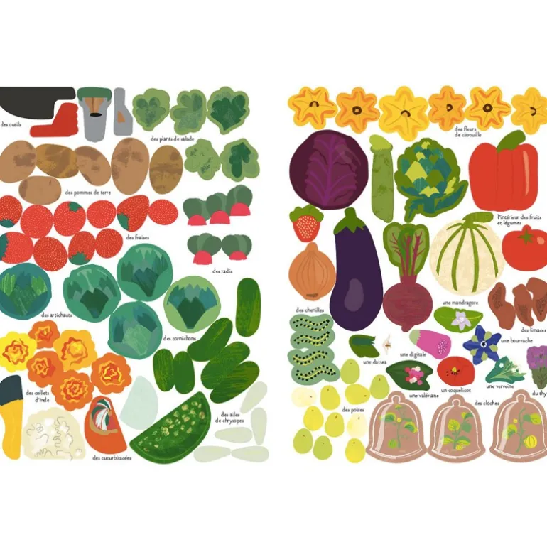 Mon cahier Nature : Le potager - Amaterra