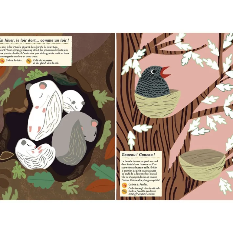Mon cahier Nature : Les animaux de la forêt - Amaterra