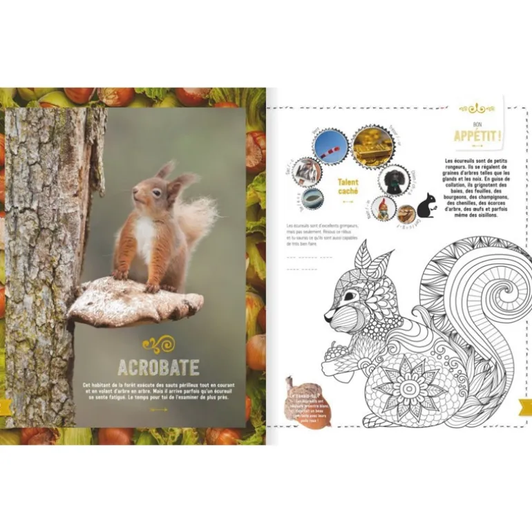 Mon livre nature tout-en-un - Glénat
