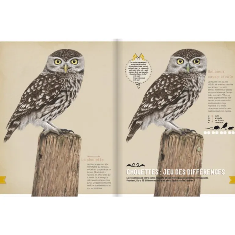 Mon livre nature tout-en-un - Glénat