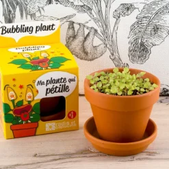 Plante qui pétille à faire pousser - Radis et Capucine