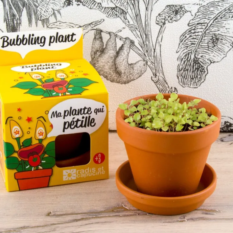 Plante qui pétille à faire pousser - Radis et Capucine