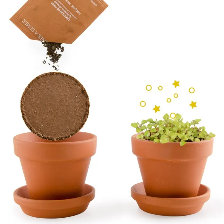 Plante qui pétille à faire pousser - Radis et Capucine