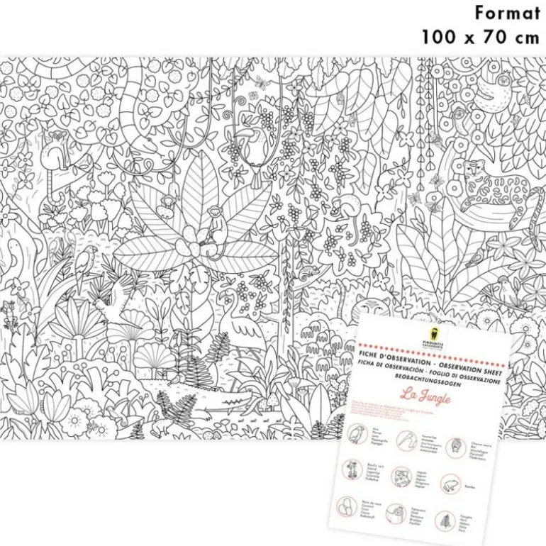 Poster coloriage - Jungle - Pirouette Cacahouète