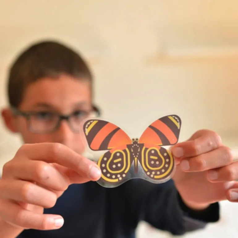 Poster Discovery Poppik et 44 stickers - Insectes