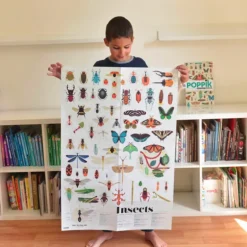 Poster Discovery Poppik et 44 stickers - Insectes