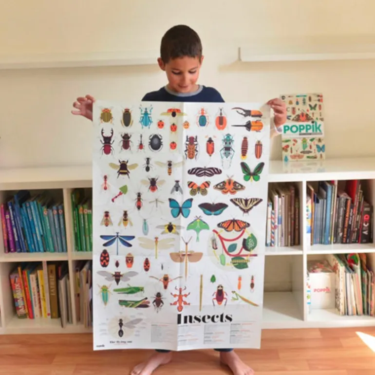 Poster Discovery Poppik et 44 stickers - Insectes