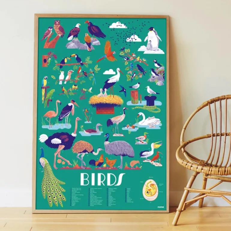 Poster Discovery Poppik et 45 stickers - Les Oiseaux