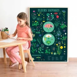 Poster Discovery Poppik et 72 stickers - Botanique