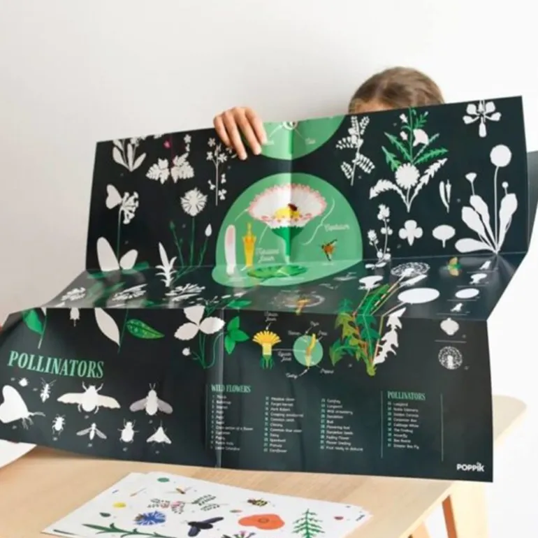 Poster Discovery Poppik et 72 stickers - Botanique