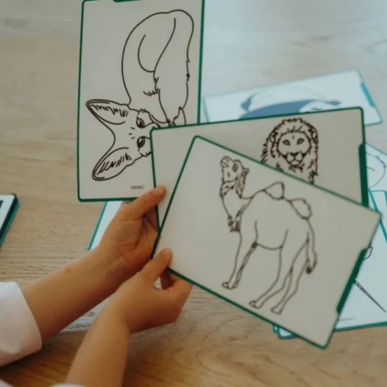 Recharge Kidydraw Mini - Océan Pirates & Animaux autour du Monde - Kidywolf
