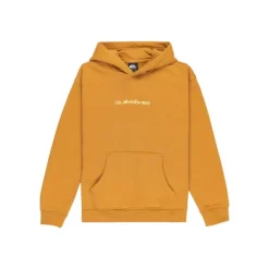Sweat à capuche enfant Graphique Salt Water - Quiksilver - Amande