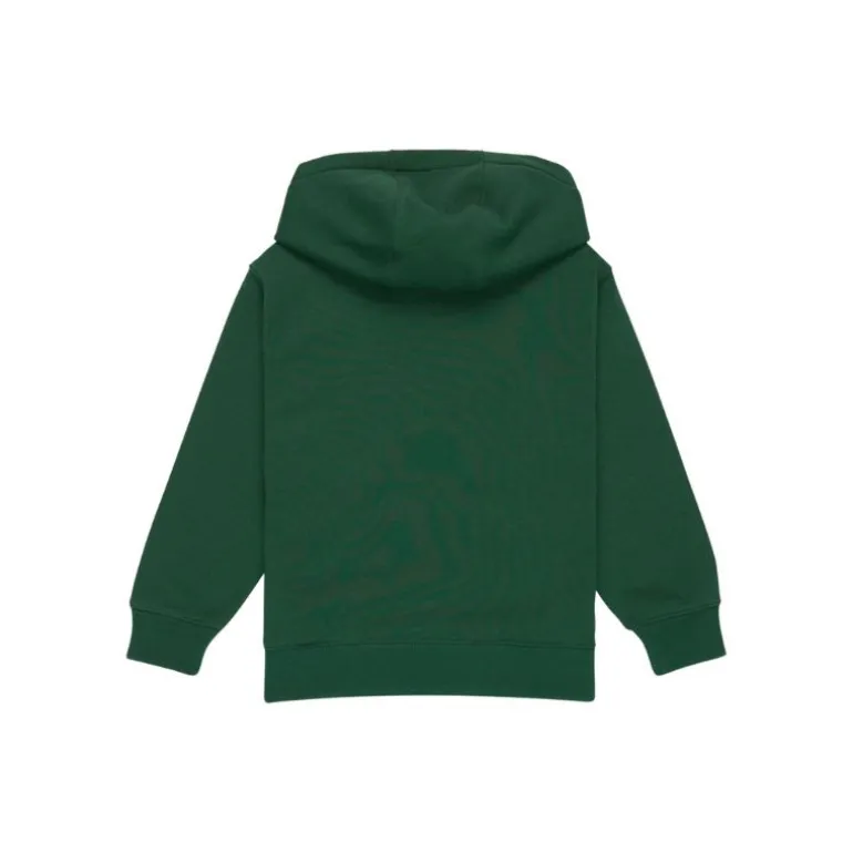 Sweat à capuche Graphic – Quiksilver enfant - Treeking vert