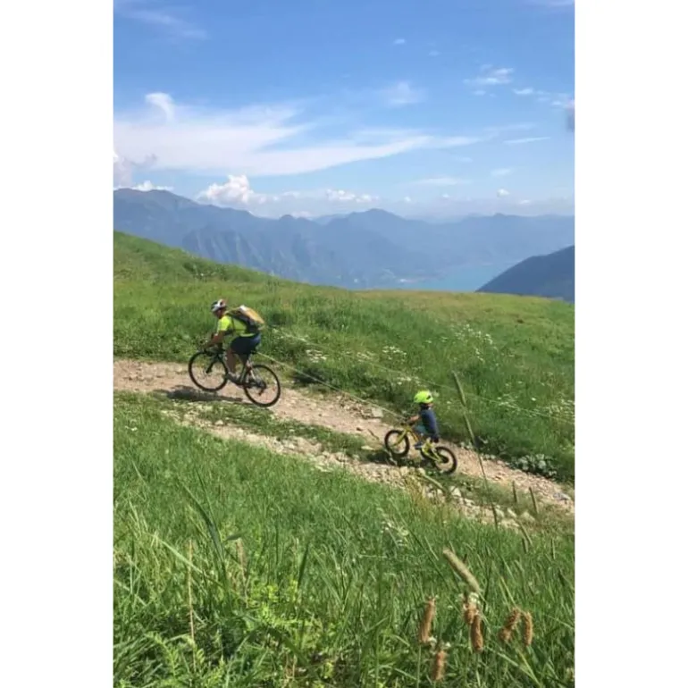 Système de traction - Tire Vélo