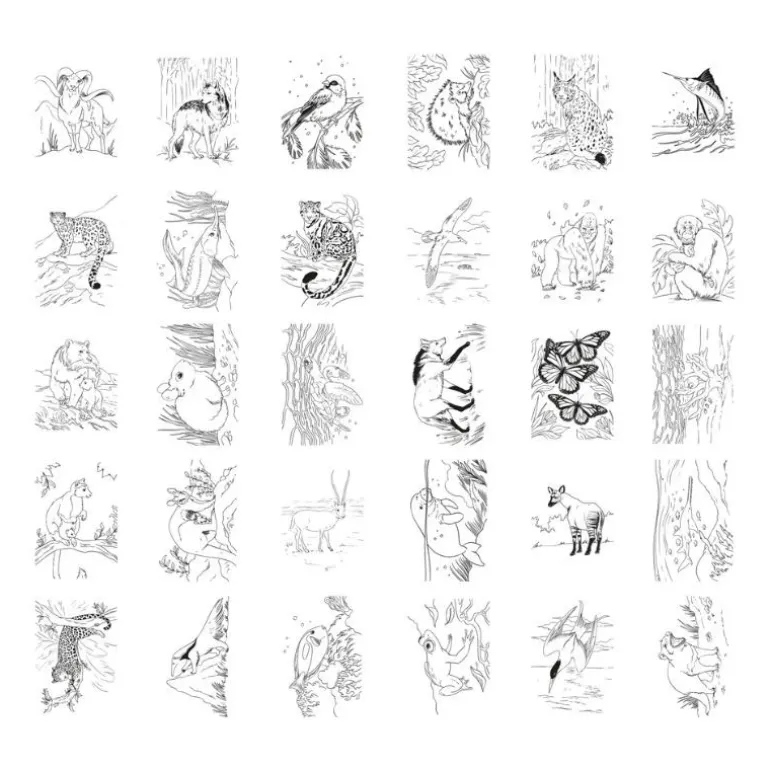 Tablette à dessin lumineuse KIDYDRAW-PAD - KIDYWOLF - Animals