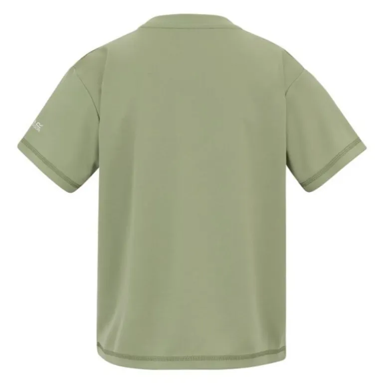 Tee-shirt respirant Alvarado - Regatta - Light Sage