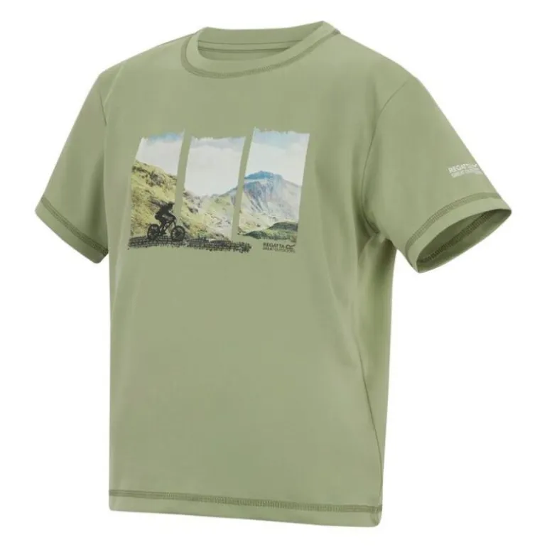Tee-shirt respirant Alvarado - Regatta - Light Sage