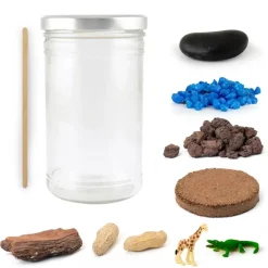 Terrarium de la savane - Radis et Capucine