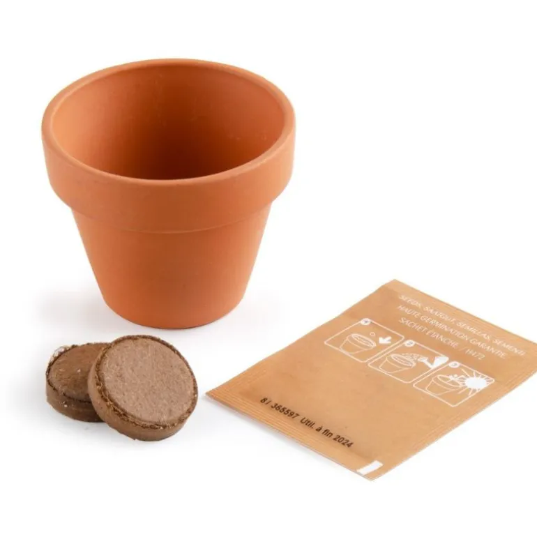 Trèfle à quatre feuilles - Kit message « Bonne chance » - Radis et Capucine