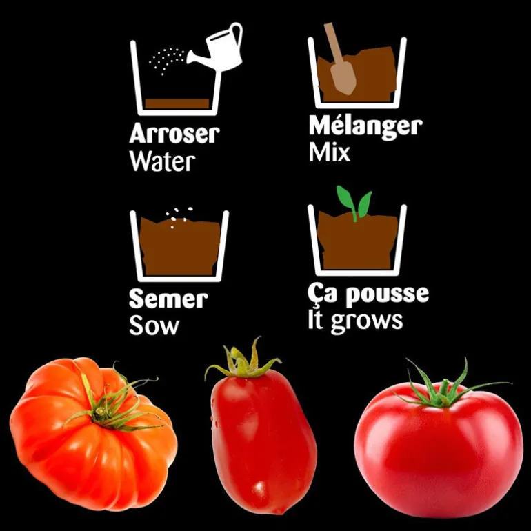 Trio de Tomates à faire pousser - Radis et Capucine