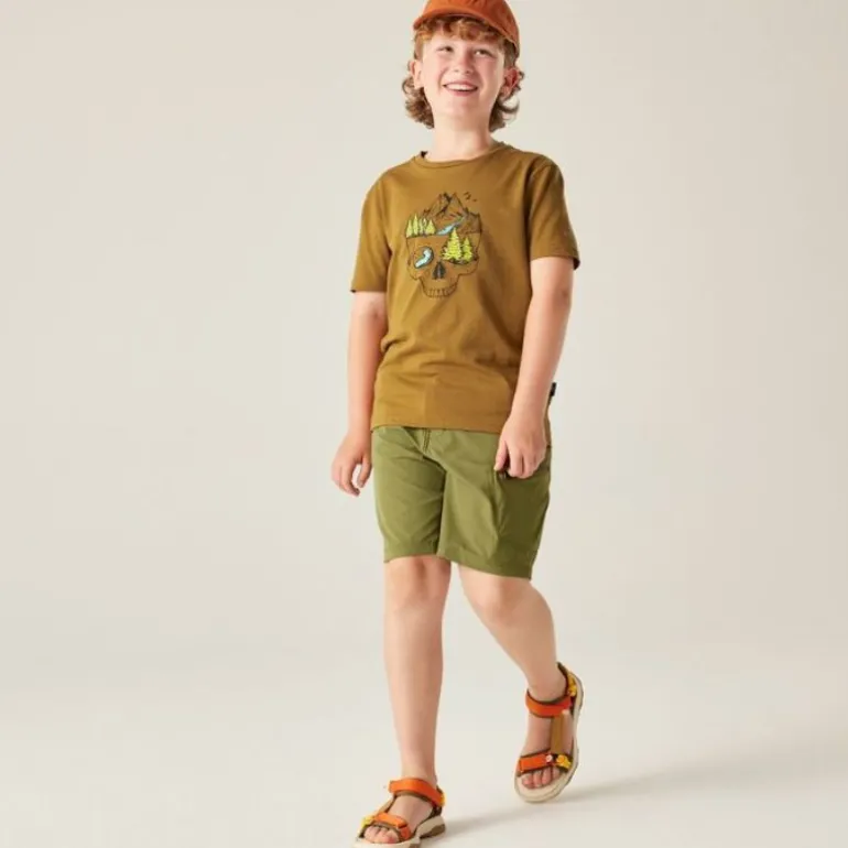 T-shirt enfant Trailblazer - Dare2b - Dark Cumin