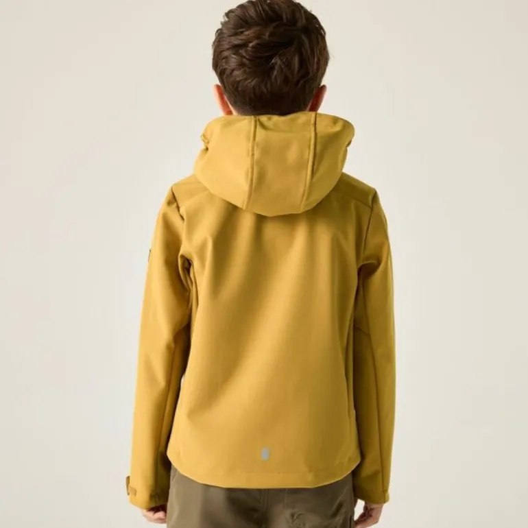 Veste softshell Acidity VIII de Regatta - Brown Sage