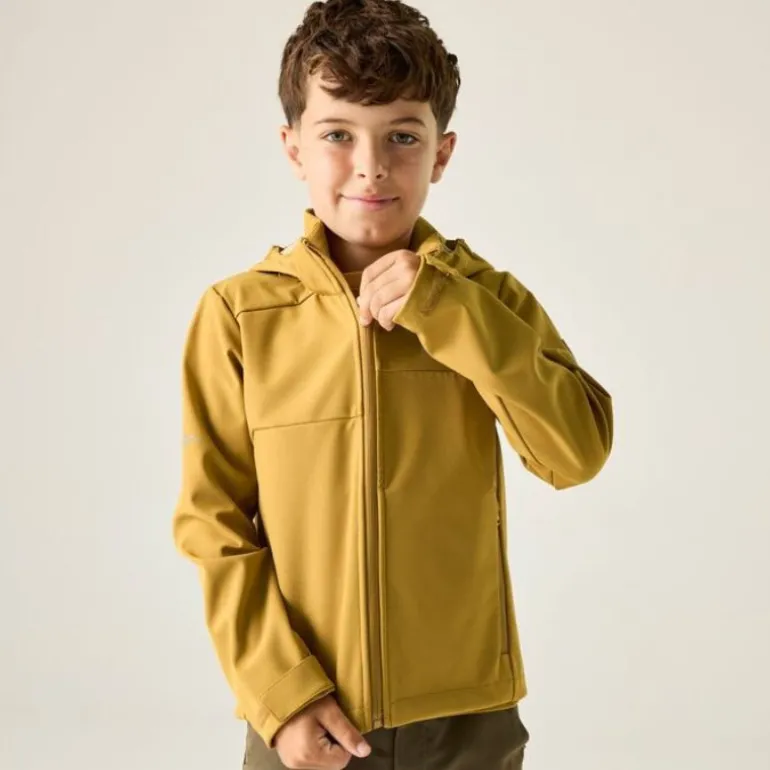 Veste softshell Acidity VIII de Regatta - Brown Sage