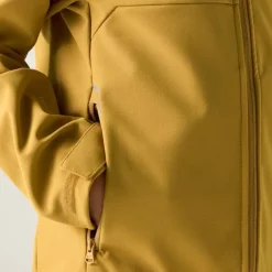 Veste softshell Acidity VIII de Regatta - Brown Sage