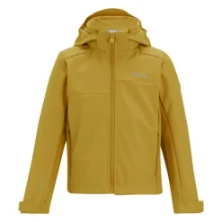 Veste softshell Acidity VIII de Regatta - Brown Sage